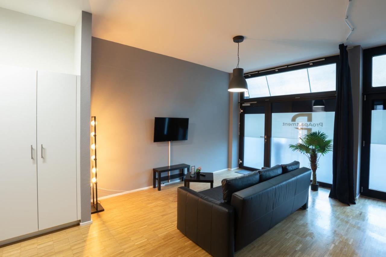 Proapartment Basel Exterior photo