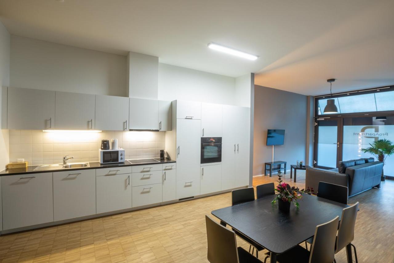 Proapartment Basel Exterior photo